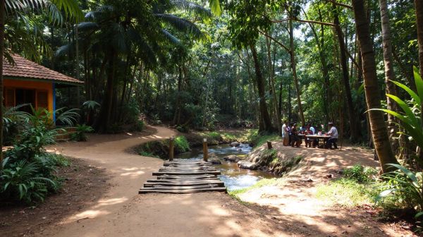 Top 5 conseils pour sélectionner une esn à Madagascar