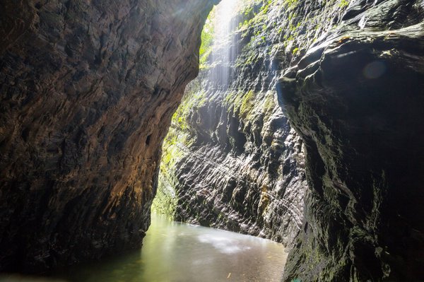 Comment choisir une plateforme de développement rapide d'applications (RAD) adaptée aux besoins de votre entreprise?